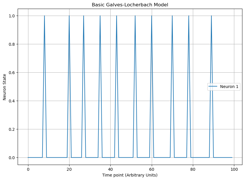 Galves-Locherbach Model